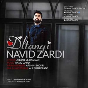 Navid Zardi - Dltangi