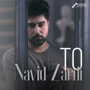 Navid Zardi Album To 2018