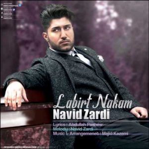 Navid Zardi - Labirt Nakam
