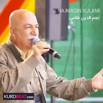 دانلود آهنگ های نجم الدین غلامی