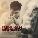 دانلود آهنگ فرمو دلم از نوید زردی | Navid Zardi Farmu Dlm