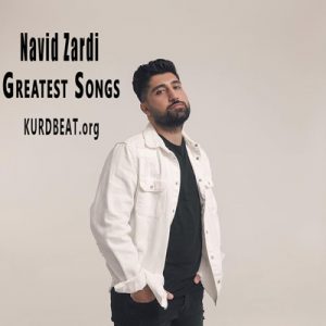Navid Zardi - Greatest Songs